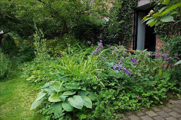 Biodiversiteit in de tuin © Sven Van Baarle